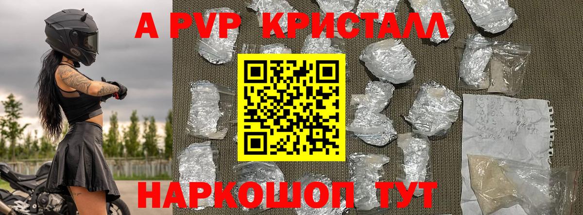 Alfa_PVP СК КРИС Котлас