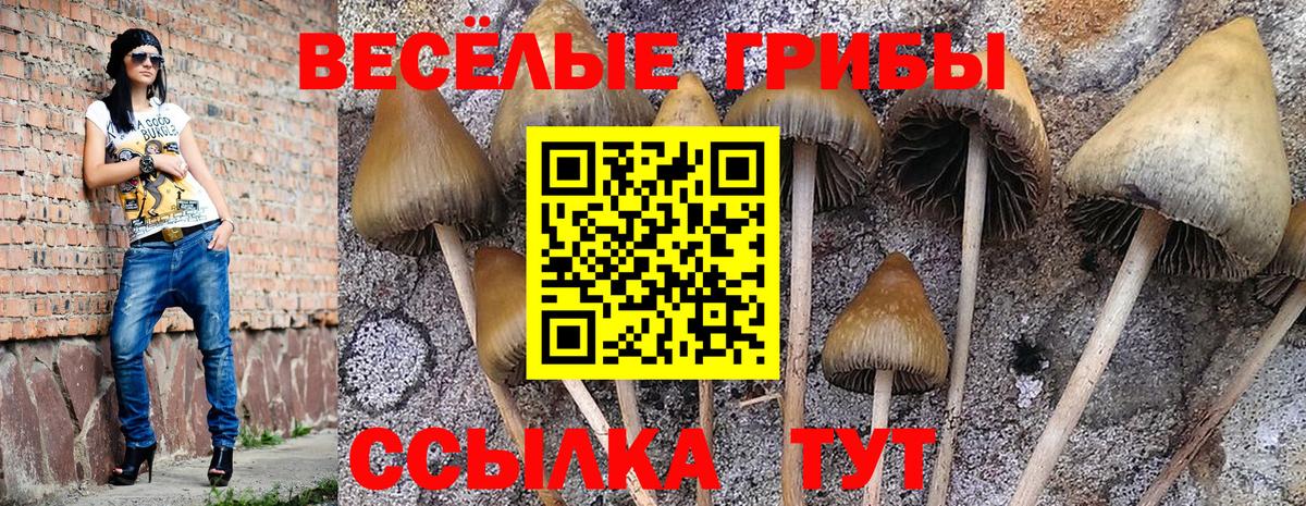 Псилоцибиновые грибы ЛСД Котлас