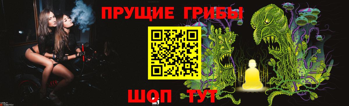 Псилоцибиновые грибы Cubensis  Вход с VPN  Котлас 